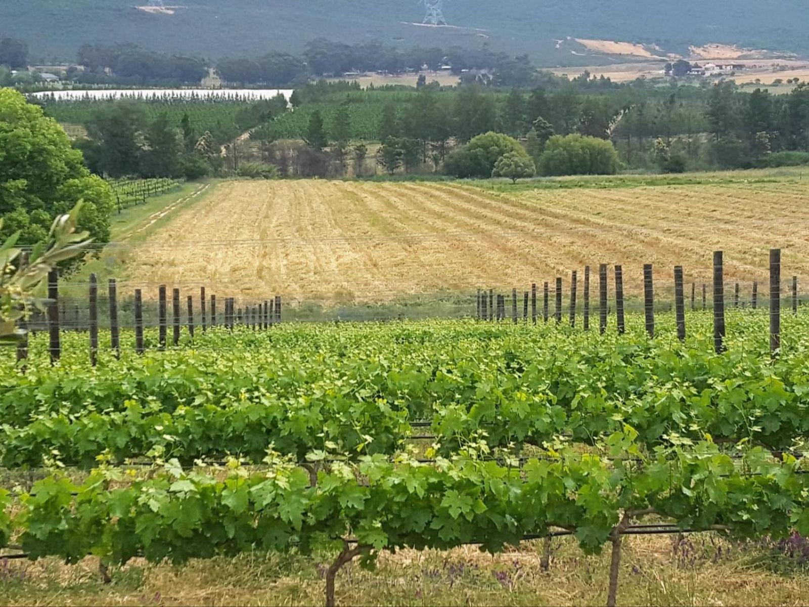 Lemberg Wine Estate Villa Tulbagh Luaran gambar